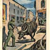 Facciamo ora un salto di 26 anni per arrivare al 22 luglio 1951, quando il giornale riport� la notizia di quattro bisonti che seminarono il panico a Bari. Durante il trasporto al macello le bestie si inferocirono, liberandosi e correndo all�impazzata per le strade della citt�. A fermare gli animali fu il tenente di polizia Mario Degli Effetti